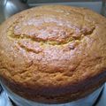 El cooksnap de Fátima Rolón cuando hizo Torta de banana con chispas de chocolate en licuadora.