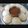 Rakhi Gupta का कुकस्नैप जब उन्होंने इडली (Idli recipe in Hindi) बनाया था।