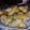 El cooksnap de Janet Focco cuando hizo Pan con grasa.