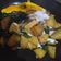 Cooksnap dari Astrid untuk resep Baked Sweet Potato with spinach