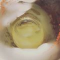 รูป Cooksnap ของ ggg Boommie เมื่อเขาทำ น้ำว่านหางจระเข้ โดย:ทำครัวง่ายๆbyจุไรรัตน์