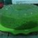 Cooksnap dari Xiu Chen untuk resep Puding Lumut Hijau Daun Pandan