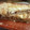 El cooksnap de b.gallego cuando hizo Empanada express de carne adobada (receta de aprovechamiento).