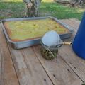 El cooksnap de vani fck cuando hizo Panqueques de Avena y Banana (pancakes).