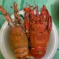 Cooksnap dari nur afni untuk resep Lobster saos padang