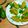 Debjani Paul's cooksnap of when they made মুগ ডাল ছানার পুর ভরা পটলের দোর্মা (moog dal chanar pur bhora potoler dorma recipe in Bengali).