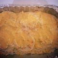 Kendra 's cooksnap of when they made Chicken Enchiladas.