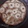 El cooksnap de pam cuando hizo Pastel de manzana.