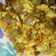 Cooksnap dari Fairuz Rifdah Permanasari untuk resep Cilor (AciTelor) ala Susan #pekaninspirasi aneka jajanan SD