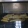 Cooksnap dari ann untuk resep Potato wedges panggang oven simple