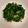 Grace 的 清炒芥藍菜 cooksnap