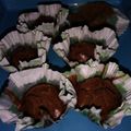 Cooksnap dari Gilbertnya Rakhman untuk resep Bolu gula merah kukus (tanpa telur, tanpa mixer)