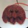 El cooksnap de Romina Mora cuando hizo Blueberry pancakes.