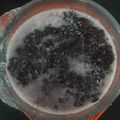 Cooksnap dari Ferry Soehardja untuk resep Bubur Ketan Hitam (Metode 5.30.7)