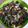El cooksnap de LuzMa SG cuando hizo Ensalada de ejotes.