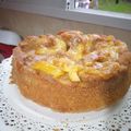 El cooksnap de Paula Gaudino cuando hizo Torta De Manzana Integral.