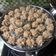 Cooksnap dari vivit mardiyanti untuk resep Siomay dimsum ayam udang jamur