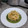 El cooksnap de Roberto marin diaz cuando hizo Espaguetis con salsa de espinacas.