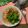 i❤️beauty 愛料理 的 大腸麵線 cooksnap