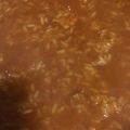 Nikocaaaa Cooksnap-ja, amikor elkészítette a(z) Rizses hús receptet.