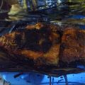 Cooksnap dari Andi Hajar untuk resep Ikan nila / mujaer bakar