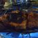 Cooksnap dari Andi Hajar untuk resep Ikan nila / mujaer bakar