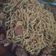 Cooksnap dari Citra pusparini untuk resep Mie Goreng Home Made#bikinramadhanberkesan
