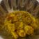 Cooksnap dari احمد التميمي untuk resep Telur Tahu Santan Kuning (Gulai Telur Tahu)