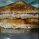 Yogita का कुकस्नैप जब उन्होंने टमाटर प्याज़ का सैंडविच(tamatar pyaz ka sandwich recipe in hindi) बनाया था।