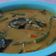 Cooksnap dari Watiaprianti untuk resep Gulai Ikan Mas
