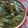 Ananya Srivastava's cooksnap of when they made Palak paneer(no onion no garlic).