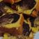 Cooksnap dari Machda Azza Dech untuk resep Bolu marmer/marble lembut simple