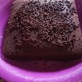Cooksnap dari Eka Vasniati untuk resep Bolu Coklat Kukus Sederhana