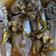 Cooksnap dari Yuni Dwi Lestari untuk resep Ikan kembung kukus -steamed fish-
