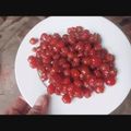 Cooksnap của Thu Mèo khi họ làm theo món Mứt chùm ruột