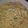 Nonkonzo Makhoba's cooksnap of when they made Pasta Salad.