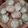 El cooksnap de Recetas Para Todos cuando hizo Galletas de coco y sémola/ comida de Marruecos.