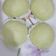 Cooksnap dari Syen untuk resep Bakpao Pandan Isi Unti Kelapa