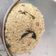 mitu madlani's cooksnap of when they made મોરૈયા ની ખીચડી (Moraiya Khichdi Recipe In Gujarati).