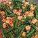 Cooksnap dari Mayang Ratulangie untuk resep Tumis Kacang Panjang Tahu