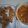Cooksnap dari Lutfiani Azahra untuk resep Ayam Asam Manis/Koloke/Kuluyuk