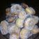 El cooksnap de florencia pereyra cuando hizo Buñuelos de limón.