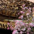 صورة من اشواق، شاركها بعد تجربة وصفة كيكة الكوكيز🍫