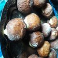 El cooksnap de flavia martin cuando hizo Bolitas de fraile esponjosas! Receta Económica.