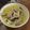 รูป Cooksnap ของ Ying Jnjintapatee เมื่อเขาทำ แกงเขียวหวานไก่ พร้อมสูตรพริกแกงเขียวหวาน