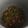 El cooksnap de Tere cuando hizo Judías verdes y zanahoria en olla gm h.