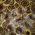 Cooksnap dari Selly Agustina untuk resep Kue kuping gajah