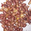 Imelda Muthoni's cooksnap of when they made Oven roasted ground nuts.