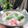 Cooksnap dari Ade Novi Indriani untuk resep Es Pisang Ijo