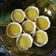 Cooksnap dari Lina Wahyuningsih untuk resep Pie Susu Teflon Cruncy